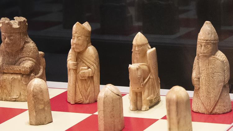Museum department collection display